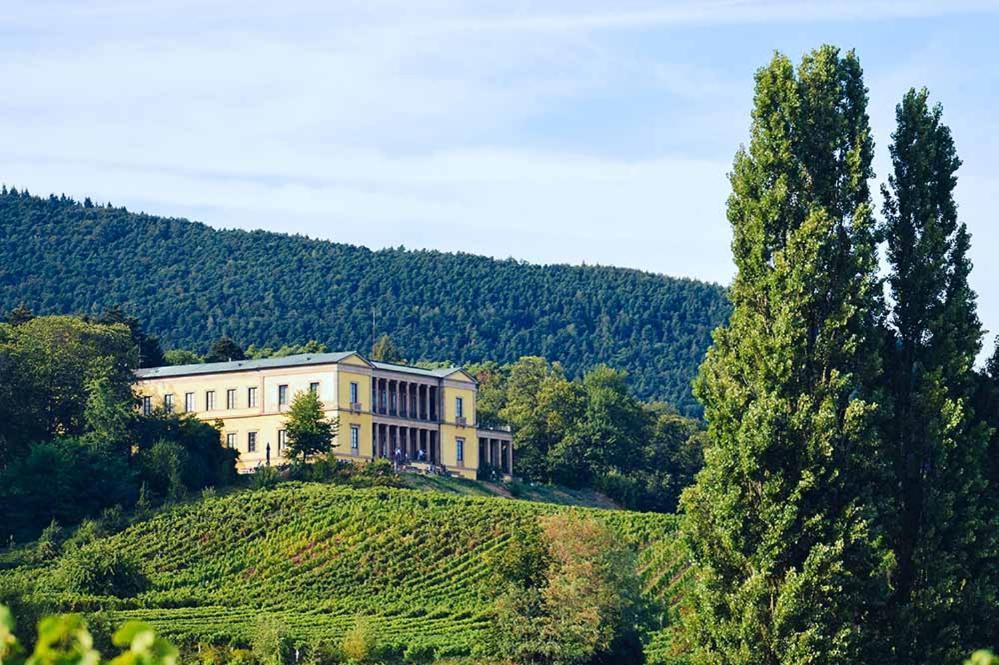 Pfalz-Dorfhaus เบอร์ไวเลอร์ ภายนอก รูปภาพ